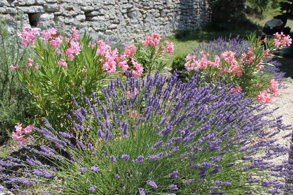 Château de Peyrolles Villa Apt Exterior foto