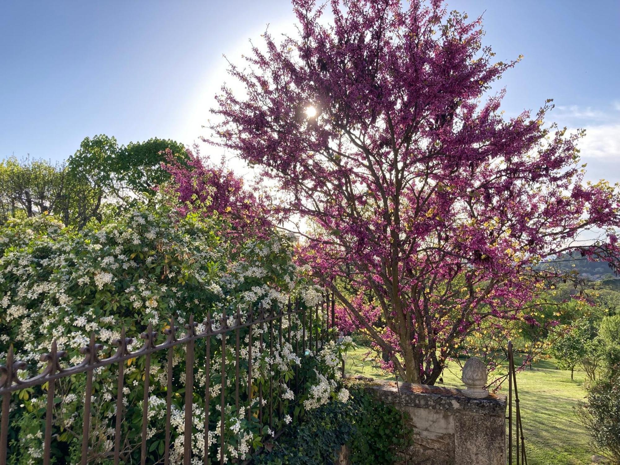 Château de Peyrolles Villa Apt Exterior foto