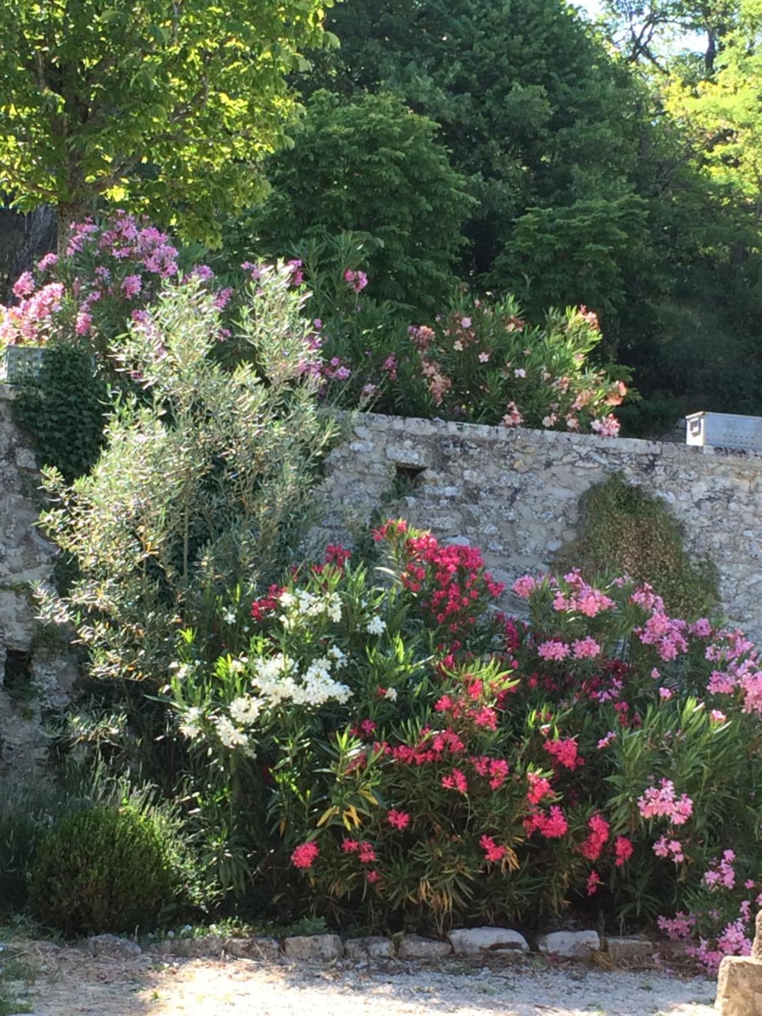 Château de Peyrolles Villa Apt Exterior foto